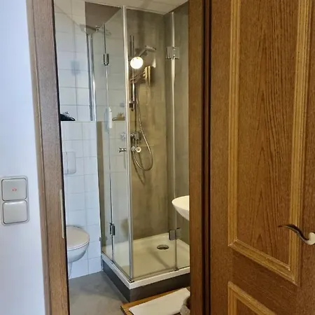 酒店 Boutique Morgentau 帕绍