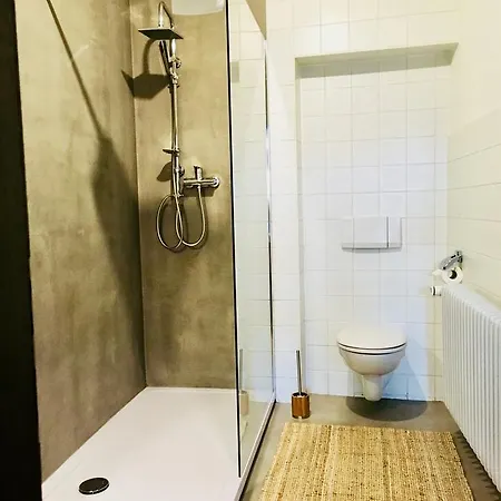 Boutique Morgentau 酒店 帕绍